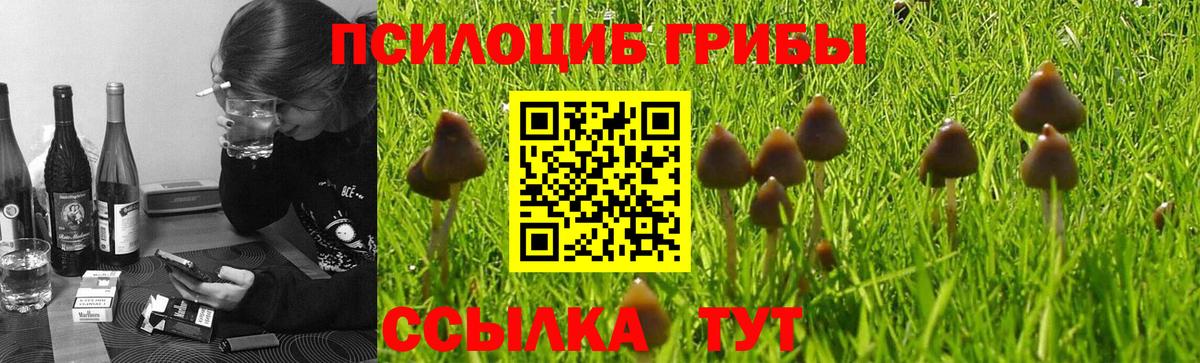 Галлюциногенные грибы Psilocybine cubensis  наркота  Магнитогорск  Вход с VPN 